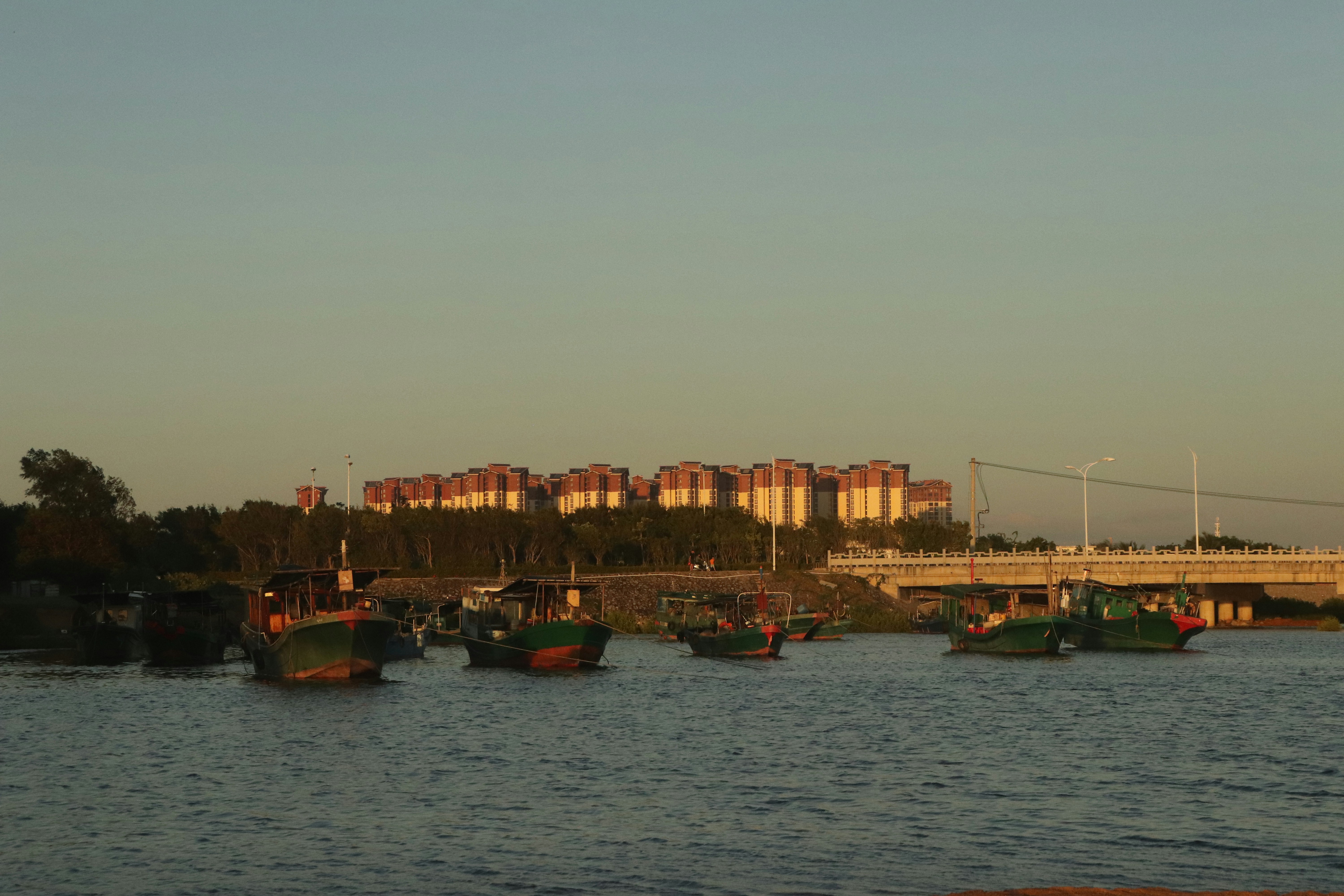 Photo by elee_334105