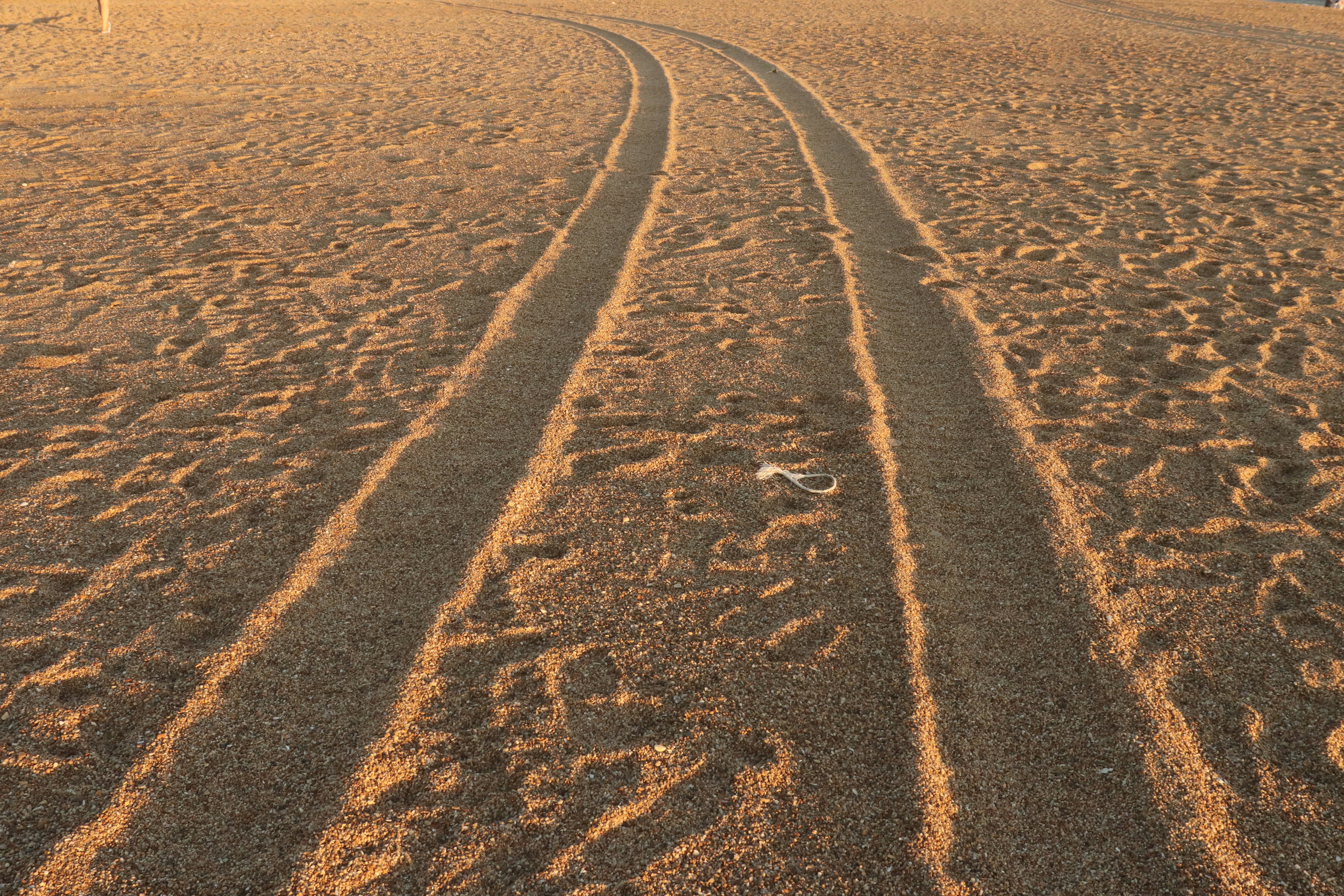 Photo by elee_334105