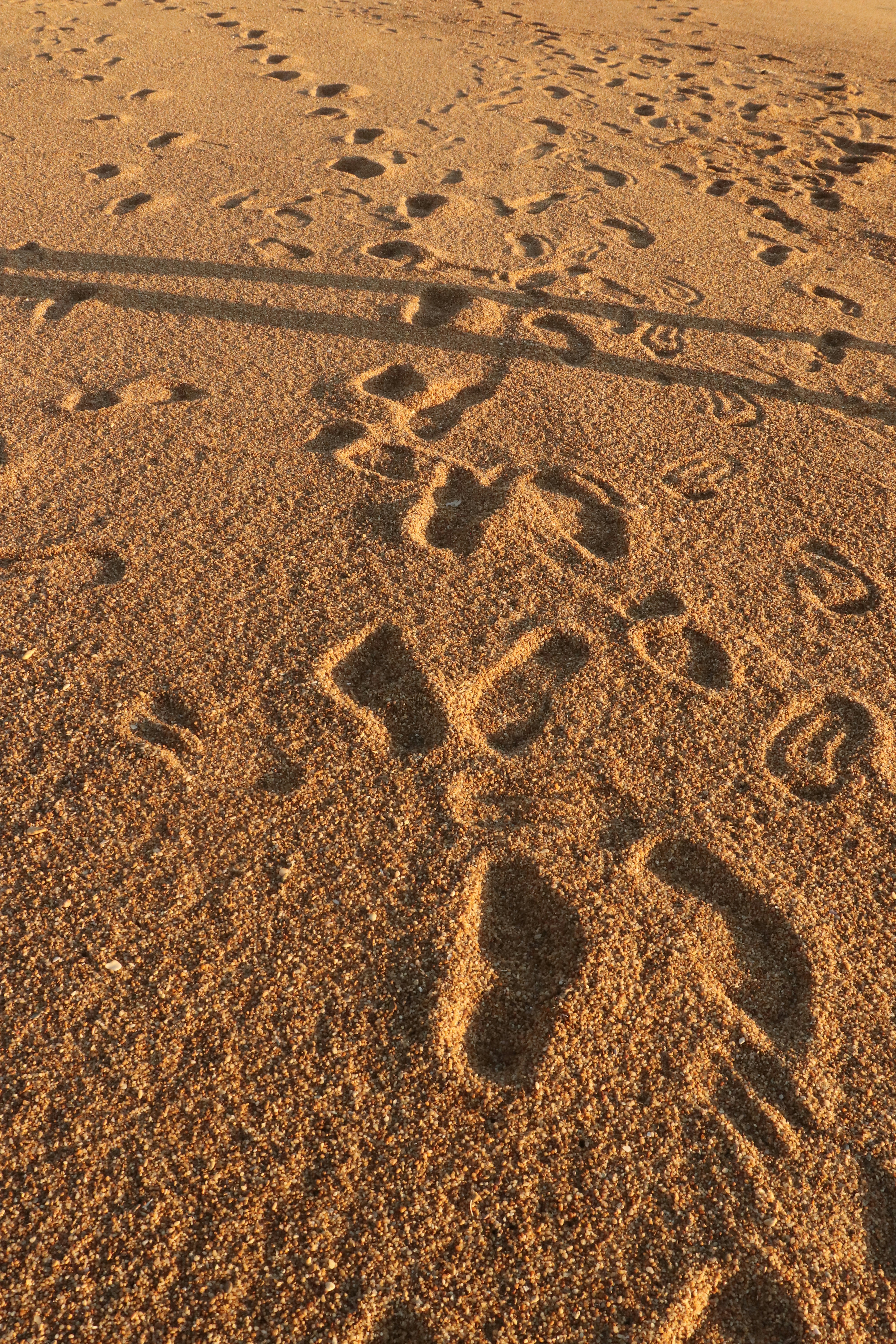 Photo by elee_334105