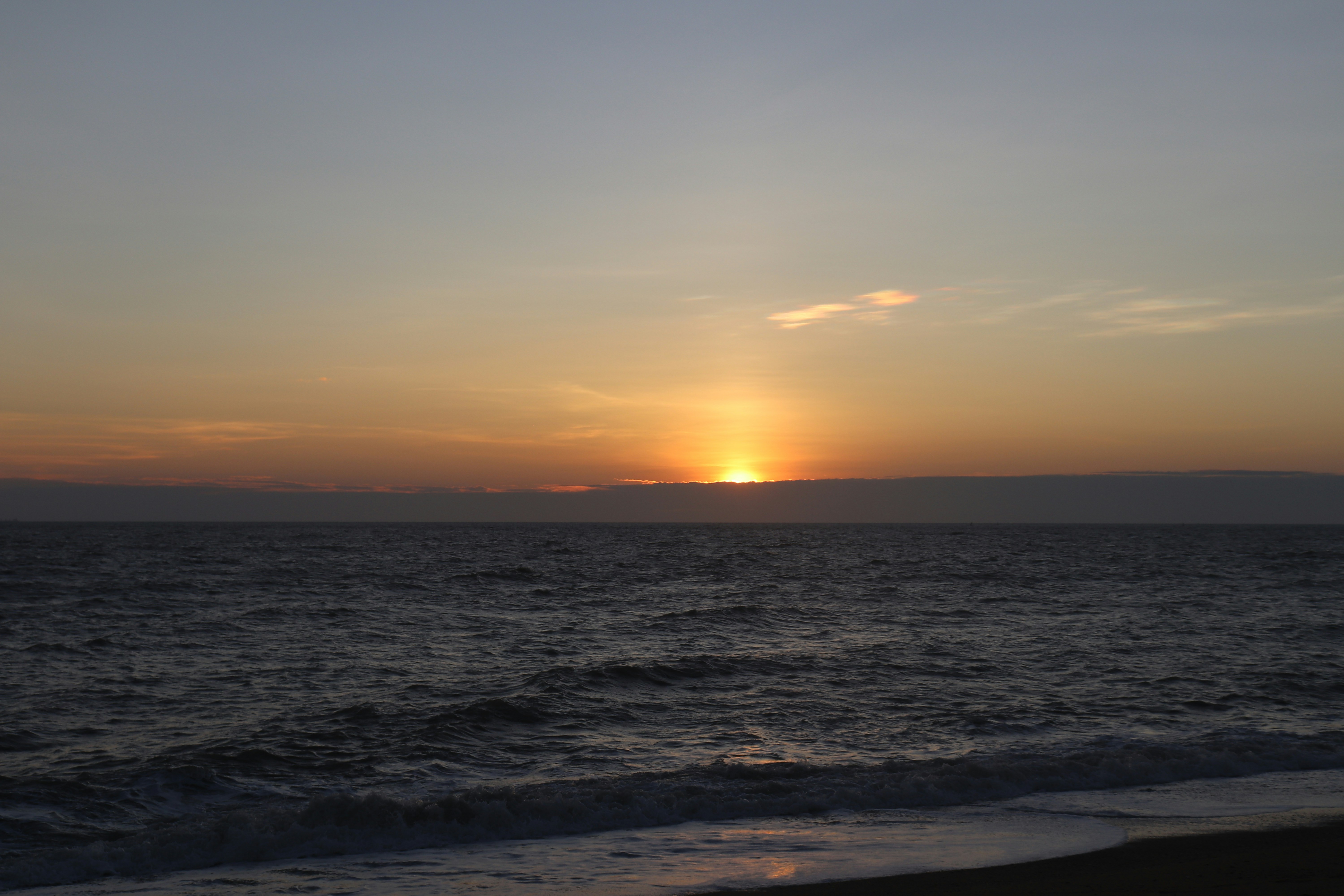 Photo by elee_334105