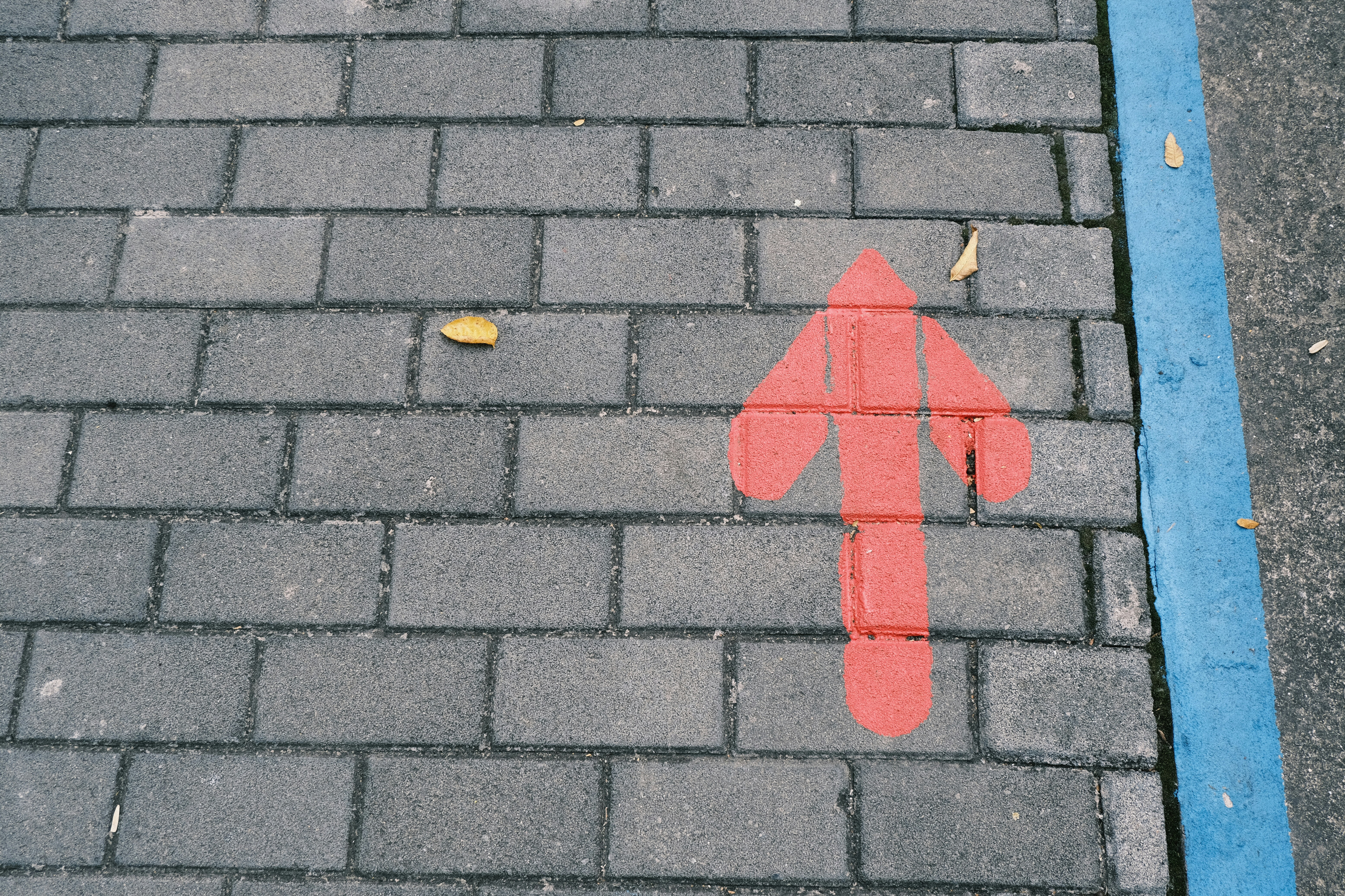 Photo by haodeng77777