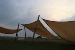 a group of large brown flags sitting on top of a lush green field