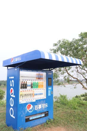 A blue Pepsi vending machine is situated outdoors on a grassy area. It has a striped blue and white awning above it and displays various drinks in clear compartments. Behind the vending machine, trees and a body of water are visible under a cloudy sky.