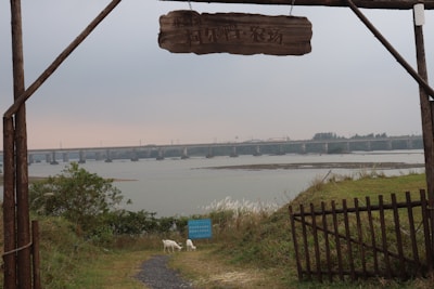 An arched wooden gate frames a view of a wide river with a long bridge in the background. A narrow path leads down a grassy hill, bordered by a rustic wooden fence. Two small goats graze near a blue sign, surrounded by bushes and patches of tall grass.