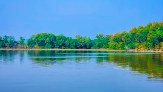 A quiet lakeside reflection of trees under a clear blue sky.