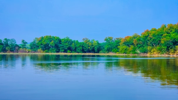 A quiet lakeside reflection of trees under a clear blue sky.