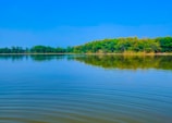 A serene body of water with small ripples reflects a lush forested area under a clear blue sky. The trees lining the water's edge exhibit various shades of green, indicating a healthy, natural environment.