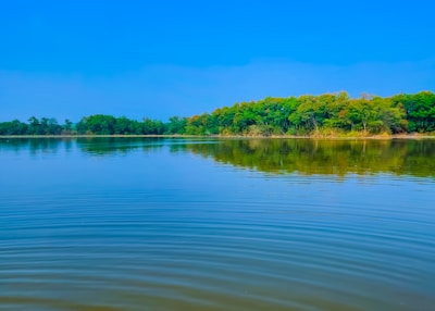 A serene body of water with small ripples reflects a lush forested area under a clear blue sky. The trees lining the water's edge exhibit various shades of green, indicating a healthy, natural environment.