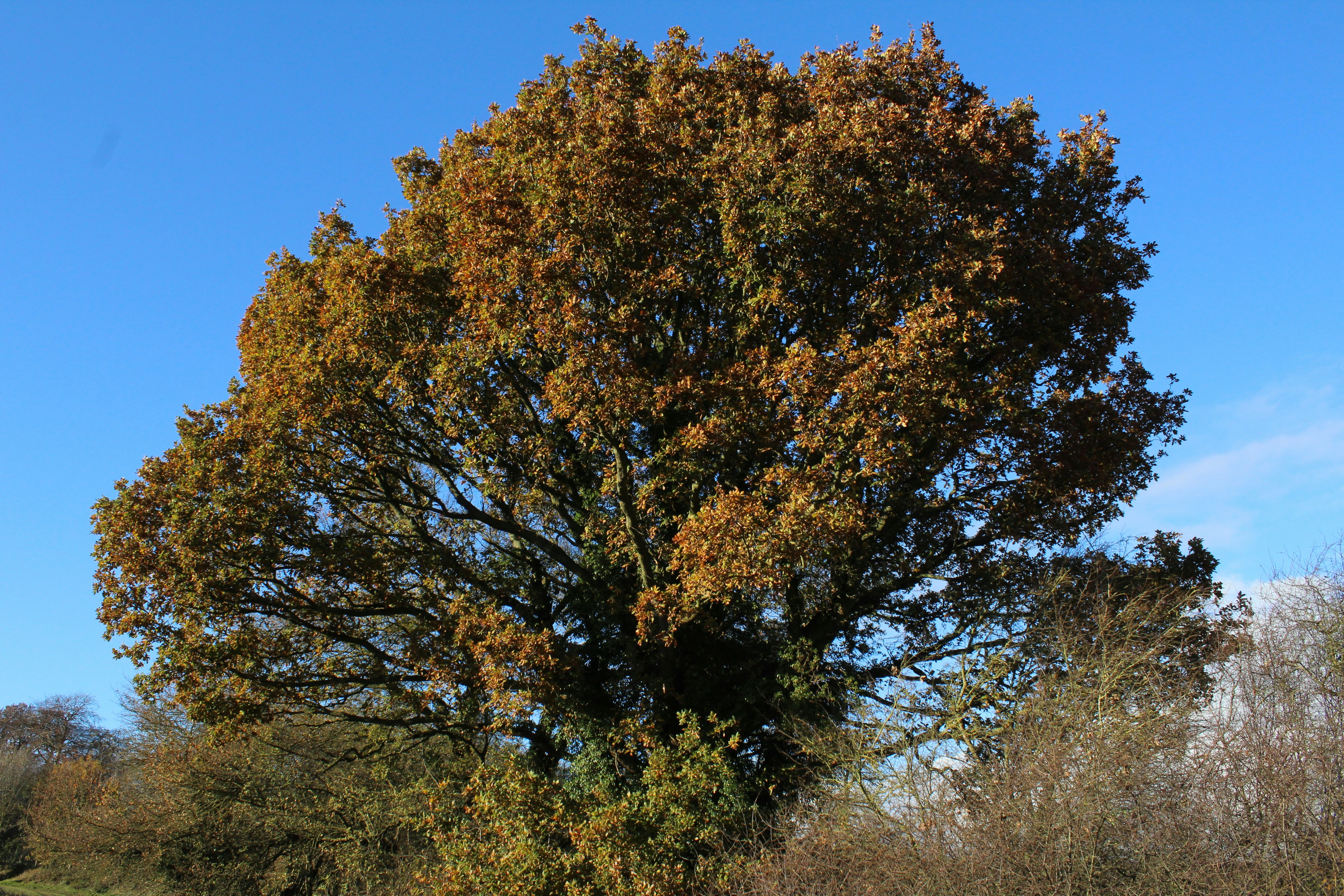 Photo by julia_fiander