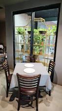 A small dining table with a black and white checkered tablecloth is set with two white plates. The table is surrounded by four wooden chairs with dark cushions. In the background, there is a large shelf filled with various potted green plants, adding a touch of nature to the otherwise minimalistic room.