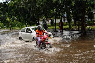 A flooded street with a person wearing a helmet riding a red motorcycle through the water, while a white car is partially submerged. Trees line the road, and a few pedestrians appear to be walking cautiously along the sidewalk.