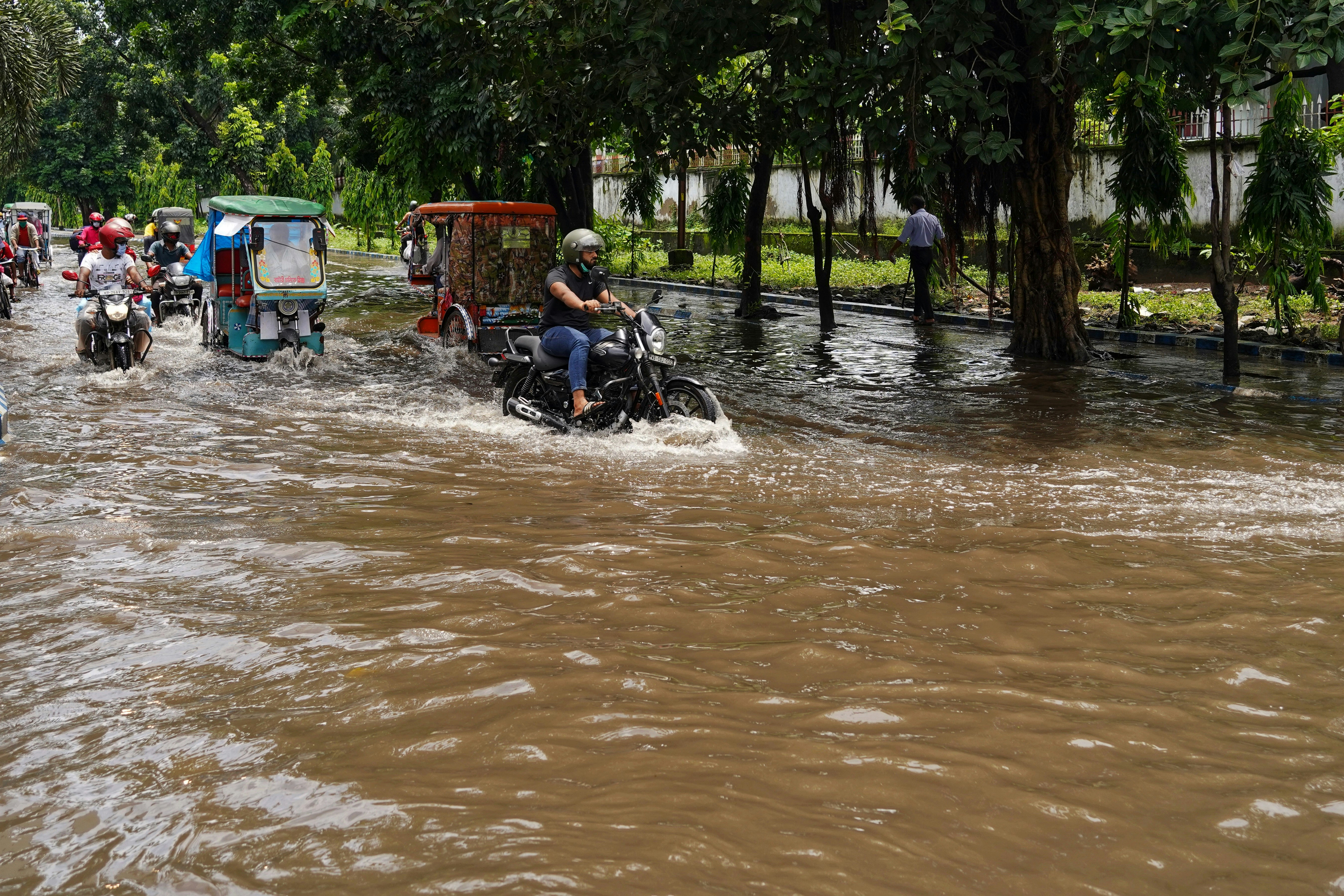 Photo by dibakar16roy