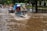 A flooded street with several vehicles, including motorbikes and auto rickshaws, navigating through the water. People are seen riding the vehicles, wearing helmets, and the surrounding area is lush with green trees.