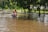 A person wearing a helmet and an orange jacket rides a motorcycle through a flooded street. The water is brown and reflective, suggesting recent rains or a flood. Trees and greenery line the road, and another person is visible standing on the sidewalk under the trees.