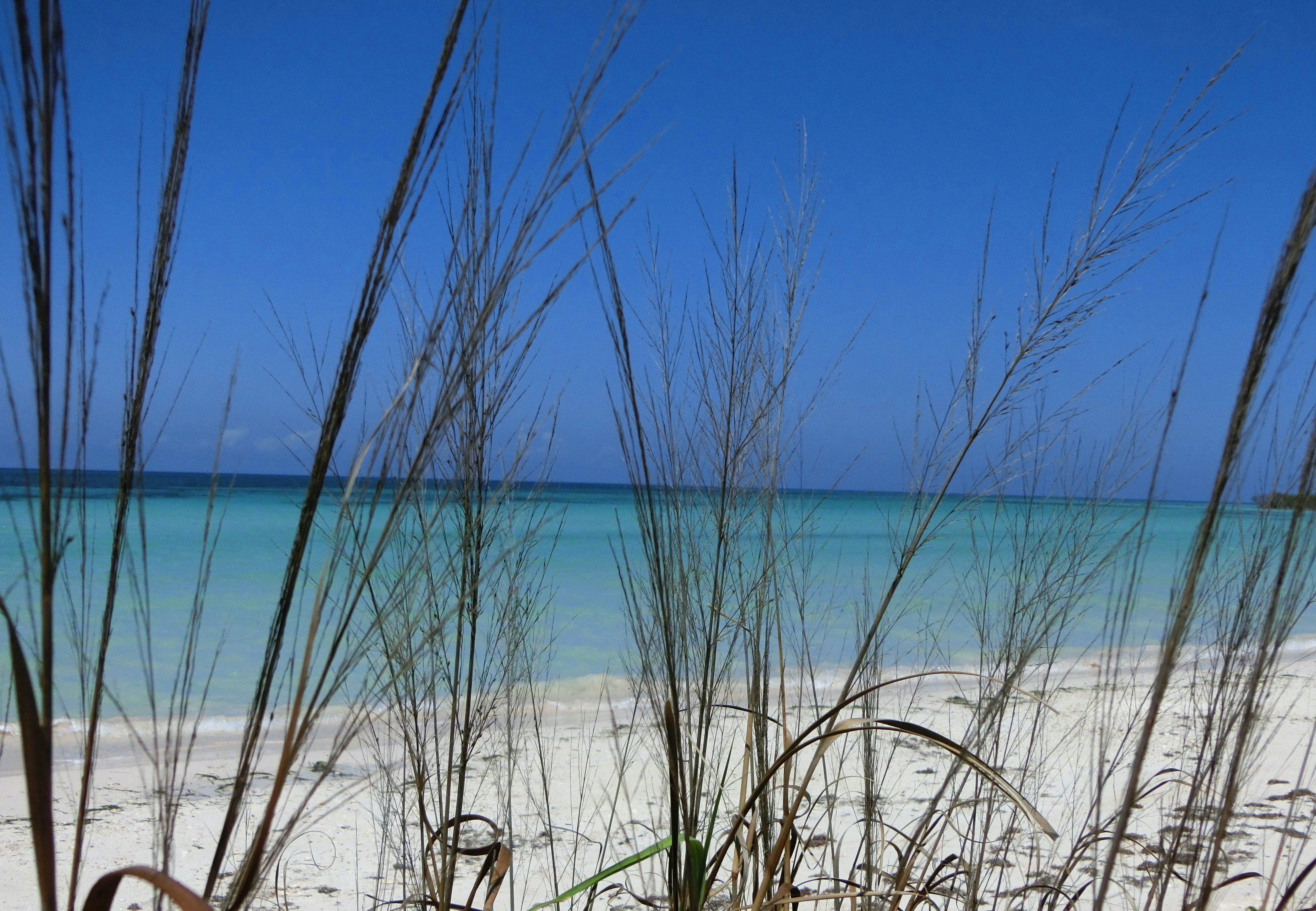 Photo by dieterrohmann