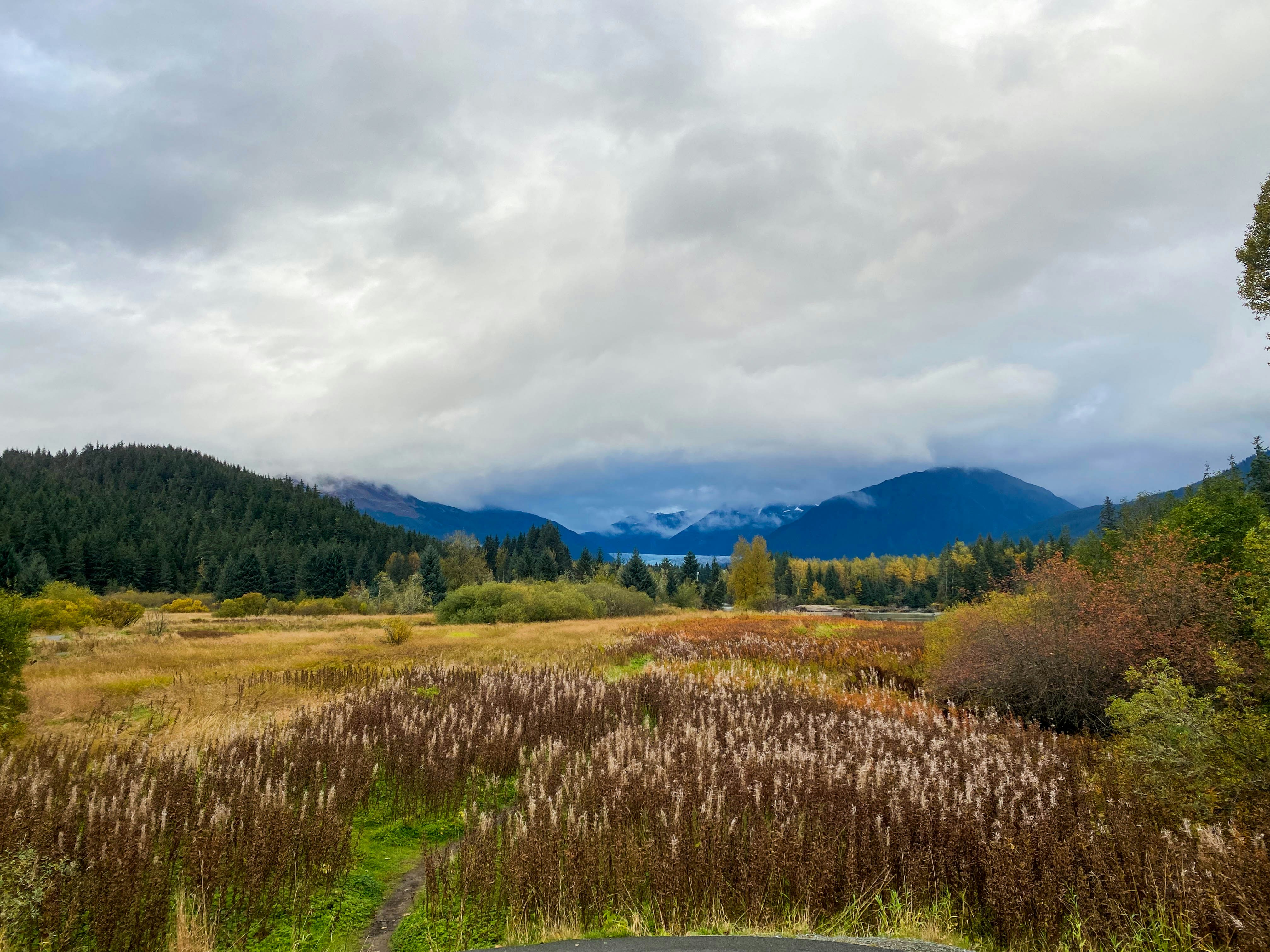 a road going through a field with mountains in the background, Looking out at Mendenhall