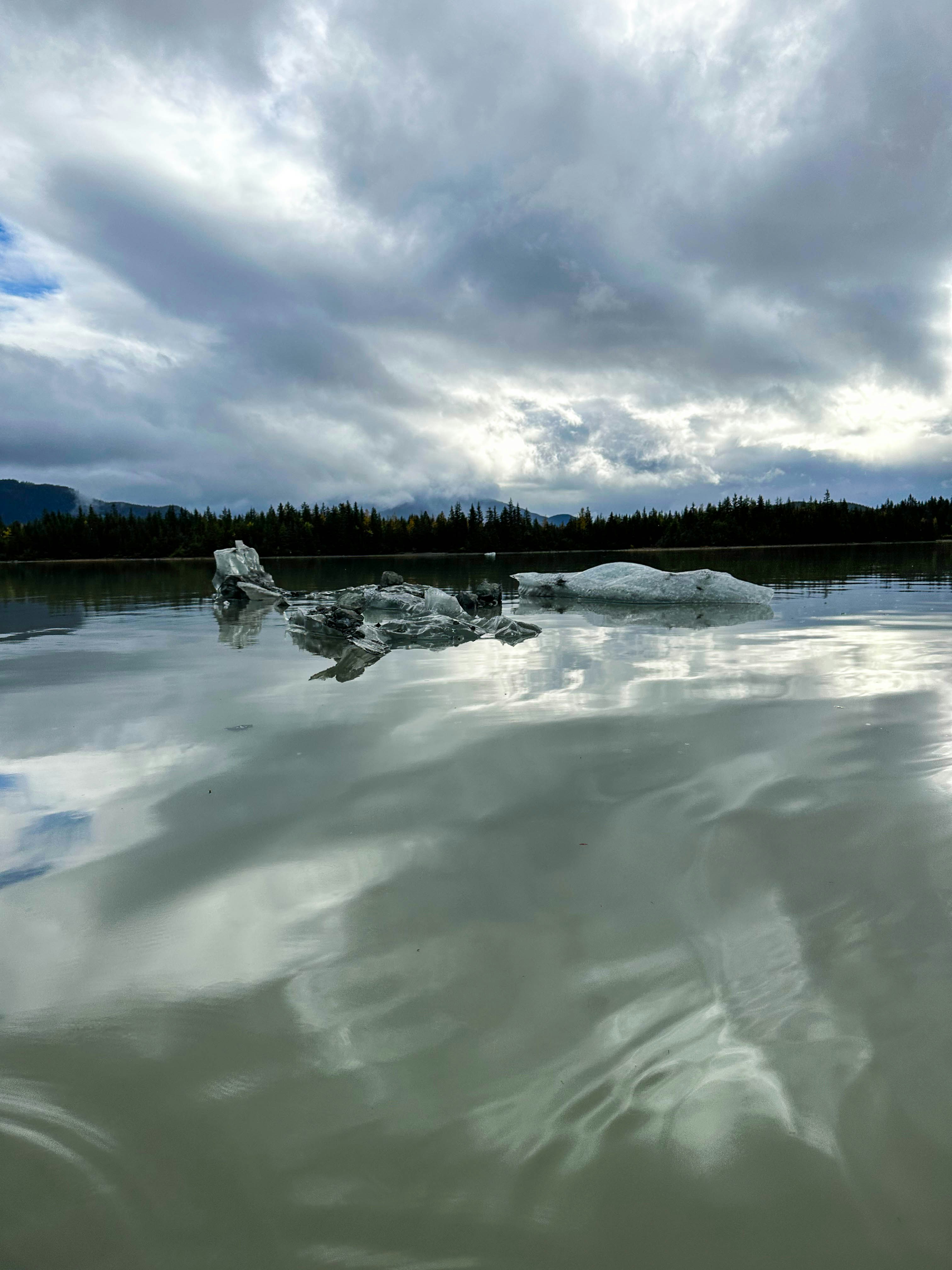 Un cuerpo de agua con icebergs flotando en él