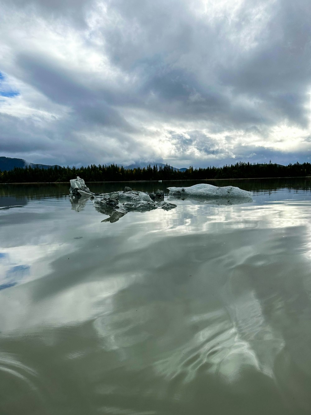 ein Gewässer, in dem Eisberge schwimmen