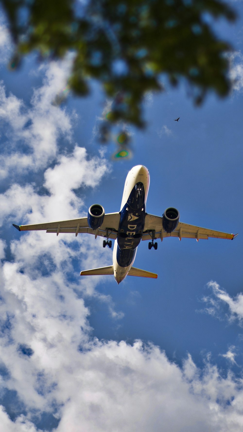 an airplane flying in the sky with a tree in the foreground