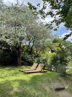 A peaceful outdoor garden nook with a comfortable lounge chair surrounded by lush greenery.