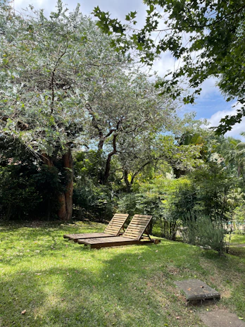 A peaceful outdoor garden nook with a comfortable lounge chair surrounded by lush greenery.