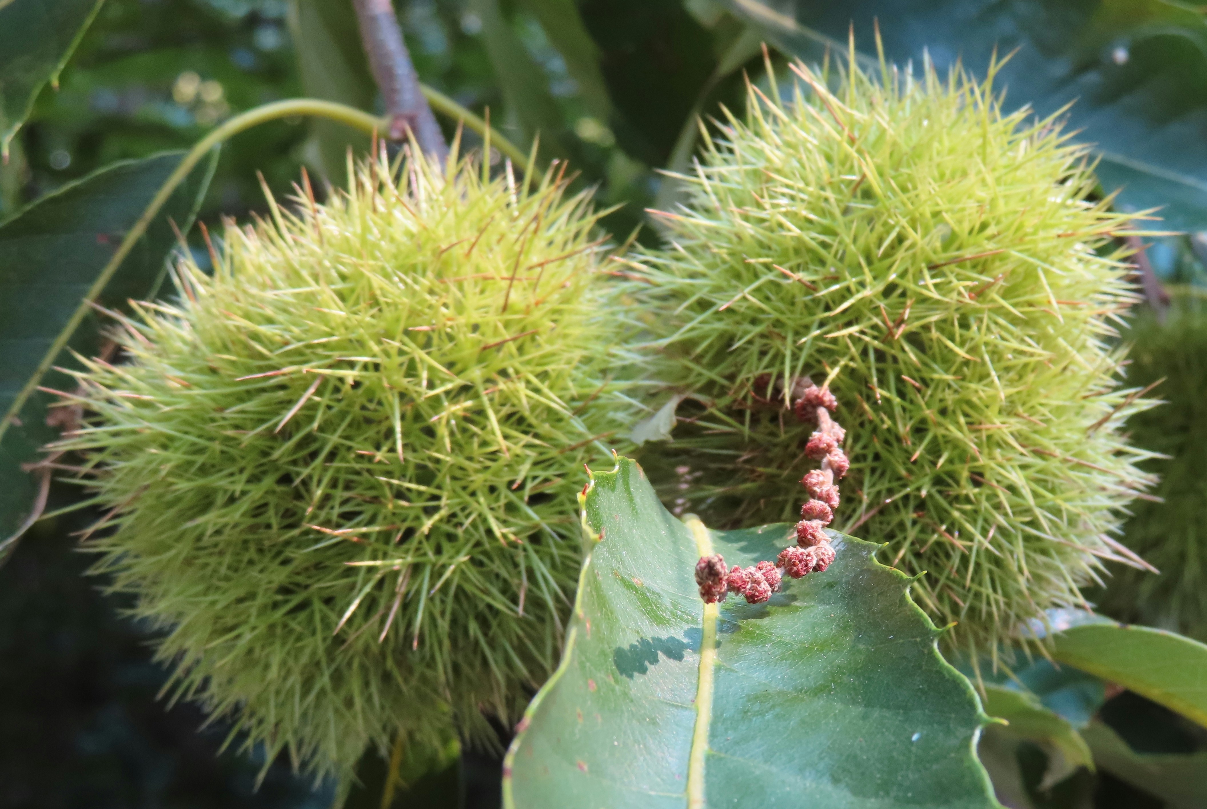 Photo by dieterrohmann