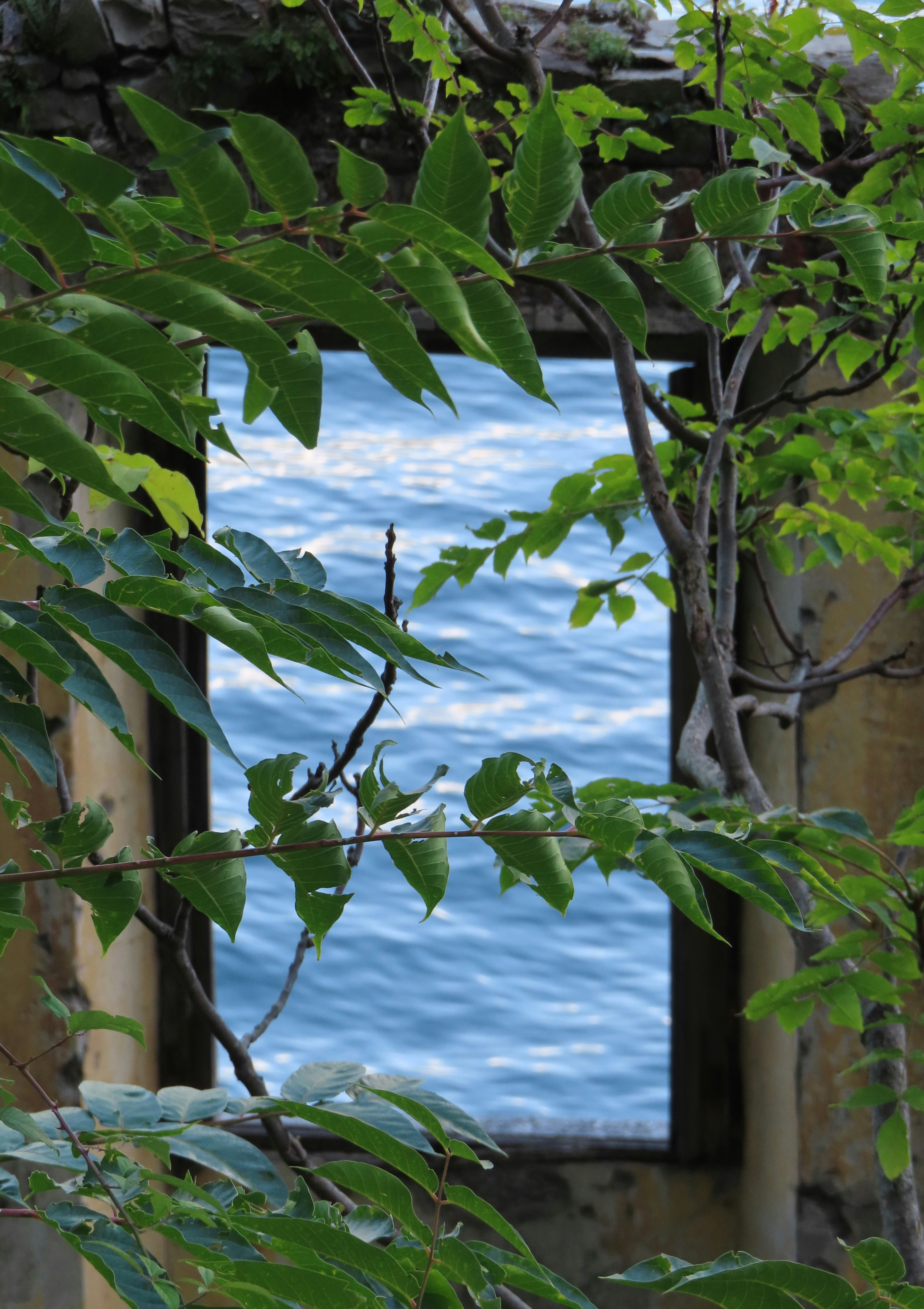 Photo by dieterrohmann