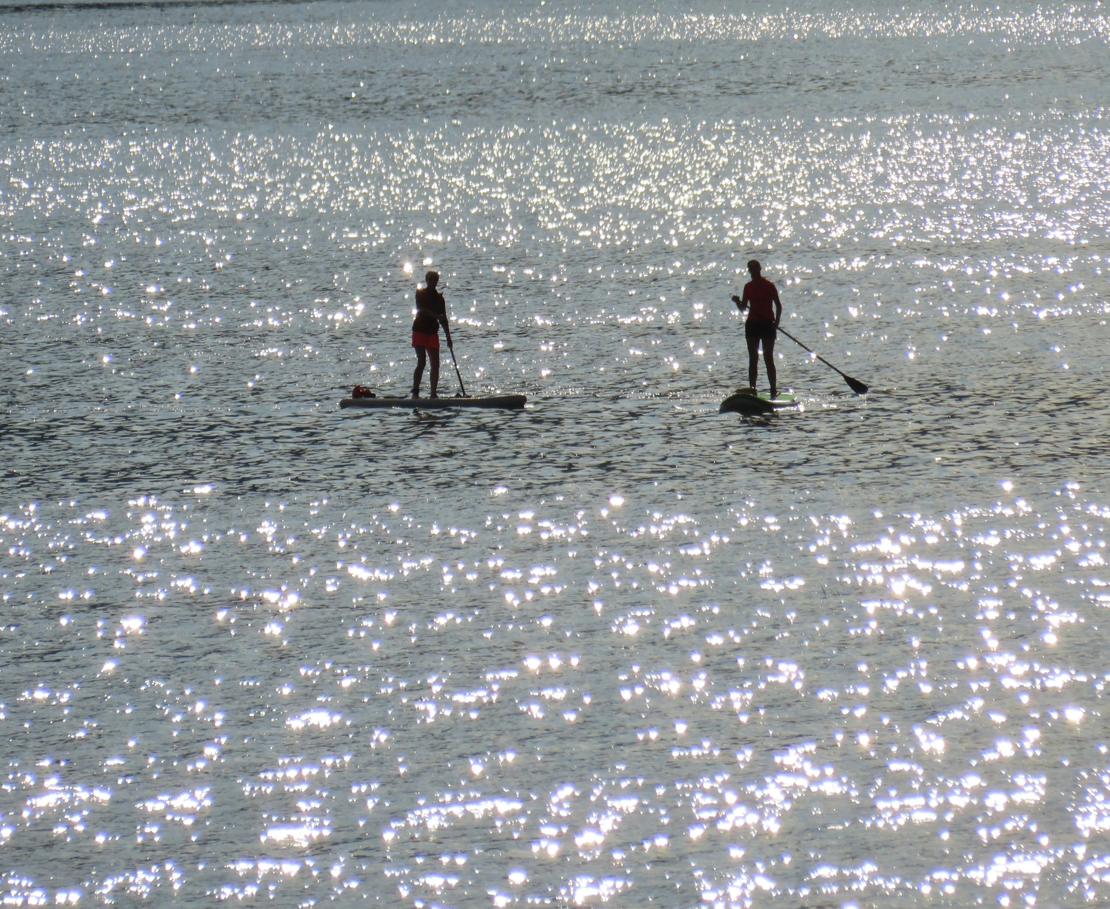 Photo by dieterrohmann