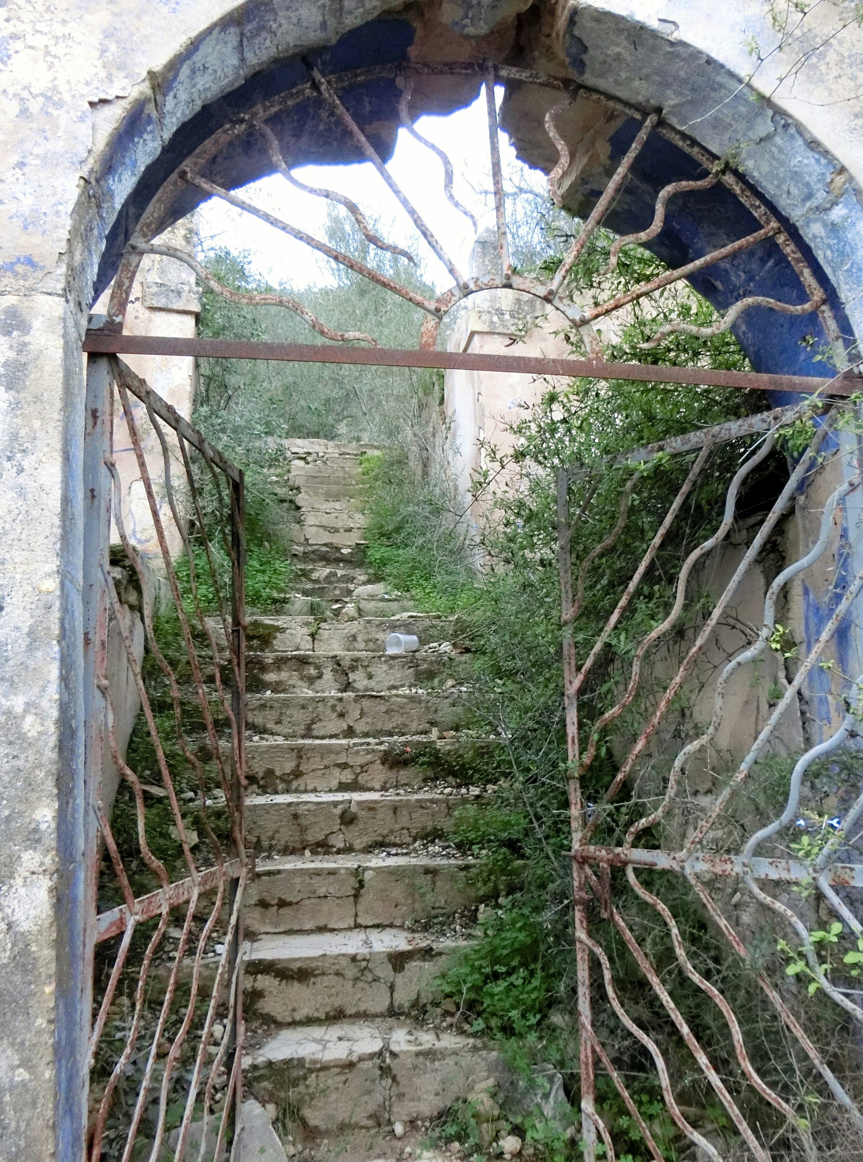 Photo by dieterrohmann