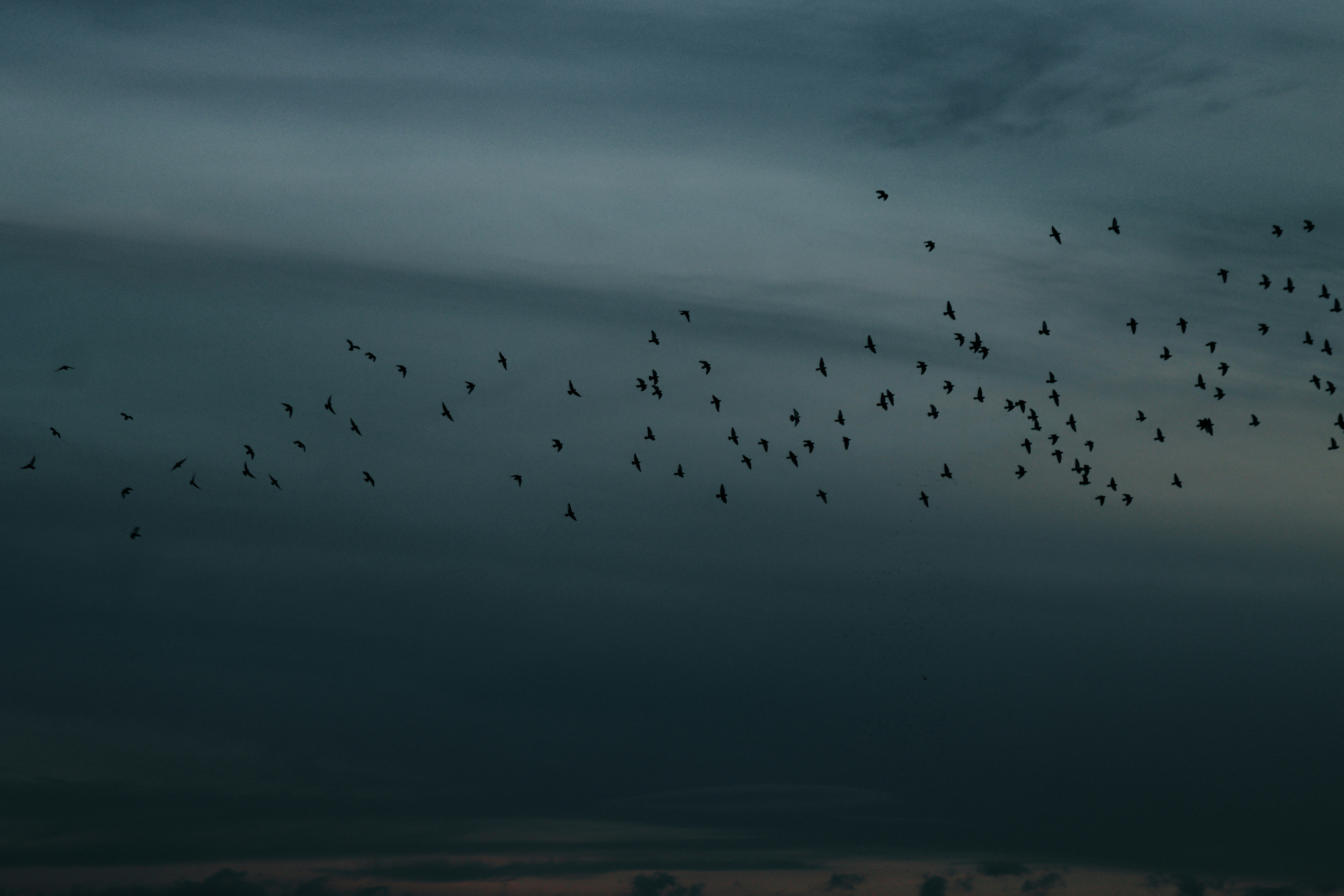 Photo by _3puncte_