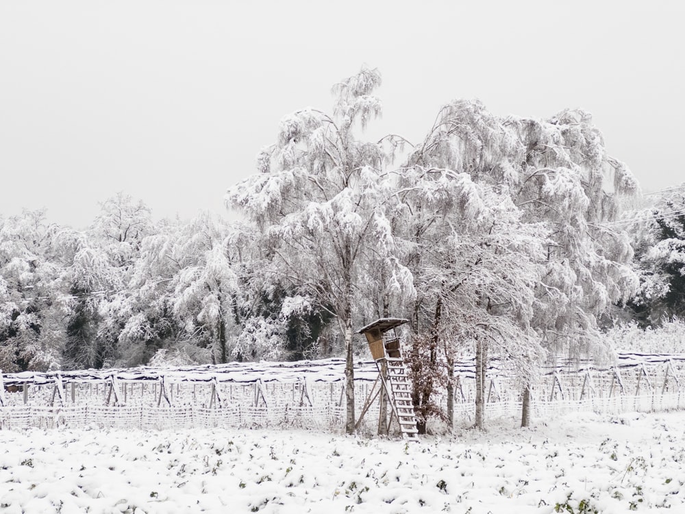 a snow covered field with a fence and trees