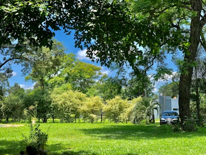 A lush, green landscape with a manicured lawn surrounded by tall trees and bushes under a clear blue sky. A dark-colored car is parked near a small white building. The shadows of the trees create a dynamic interplay of light and dark areas.