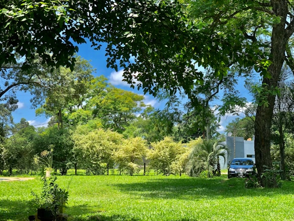 A beautifully paved driveway with a modern garden and freshly laid turf under a clear sky.