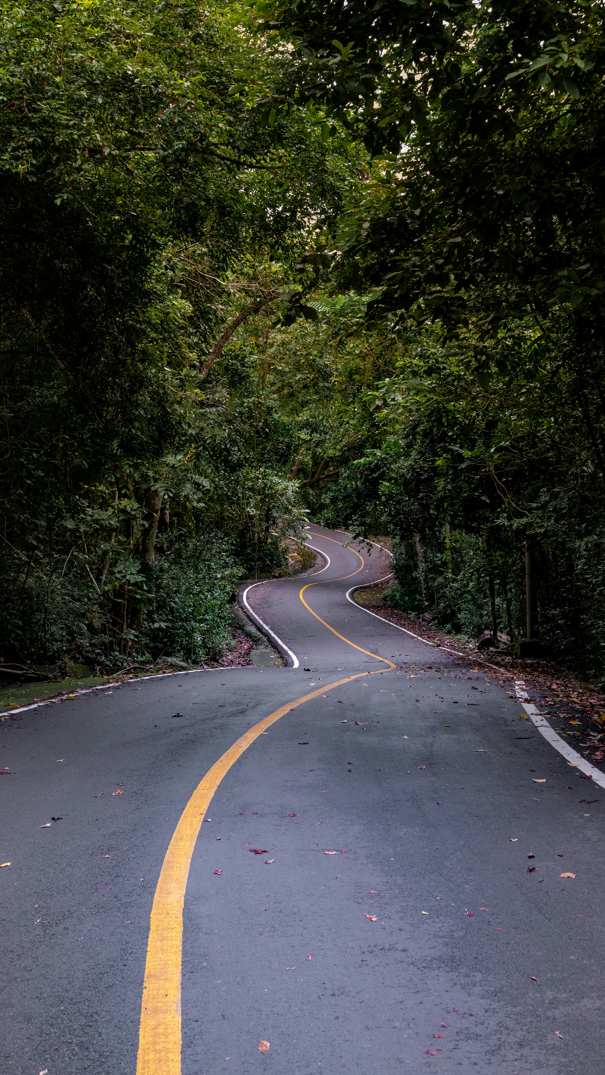 Best Time to Visit Sabang: Weather, Seasons, and Months