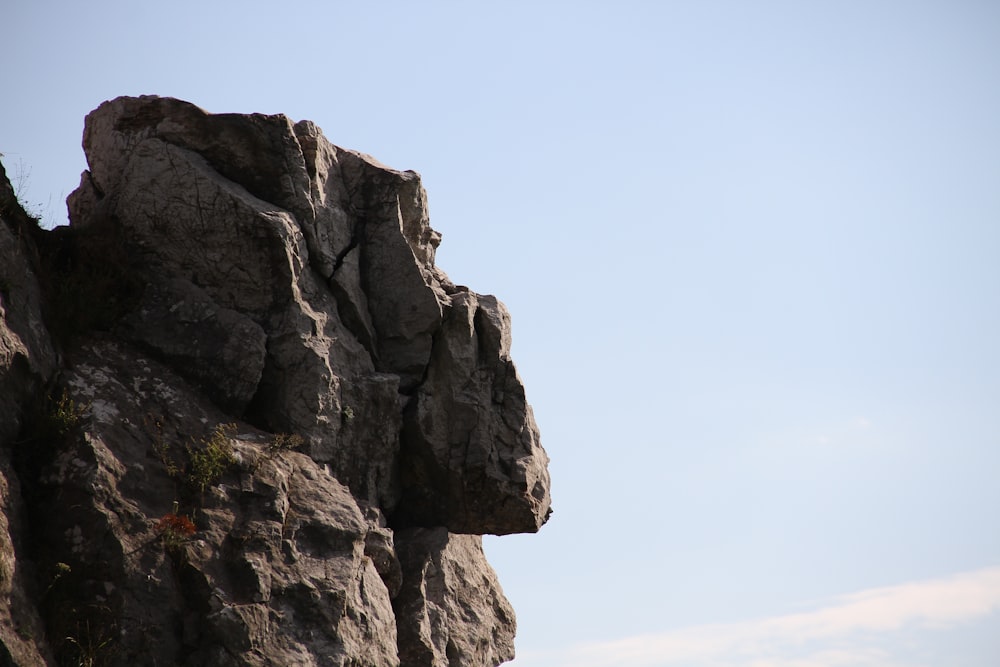 a rock formation with a bird perched on top of it