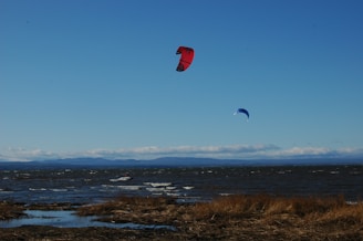 A scenic view of a coastal area with two kitesurfing kites, one red and one blue, soaring in the sky above dark ocean waves. The foreground features patches of dry, brown grass and a rocky shoreline. The distant background reveals a range of low mountains under a clear blue sky with scattered white clouds.