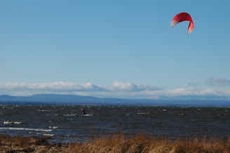 A kiteboarder is gliding over the water, holding onto a bright red kite. The scene is set against a backdrop of a vast body of water with gentle waves. The horizon features mountainous terrain under a clear blue sky with some fluffy, white clouds. In the foreground, dry grass can be seen at the edge of the shore.