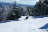A snowboarder wearing winter gear glides across a snow-covered slope, surrounded by snow-laden evergreen trees. The scene captures the motion of the snowboard as it sprays snow behind. The sky is clear, with a few clouds scattered above a backdrop of distant mountains.