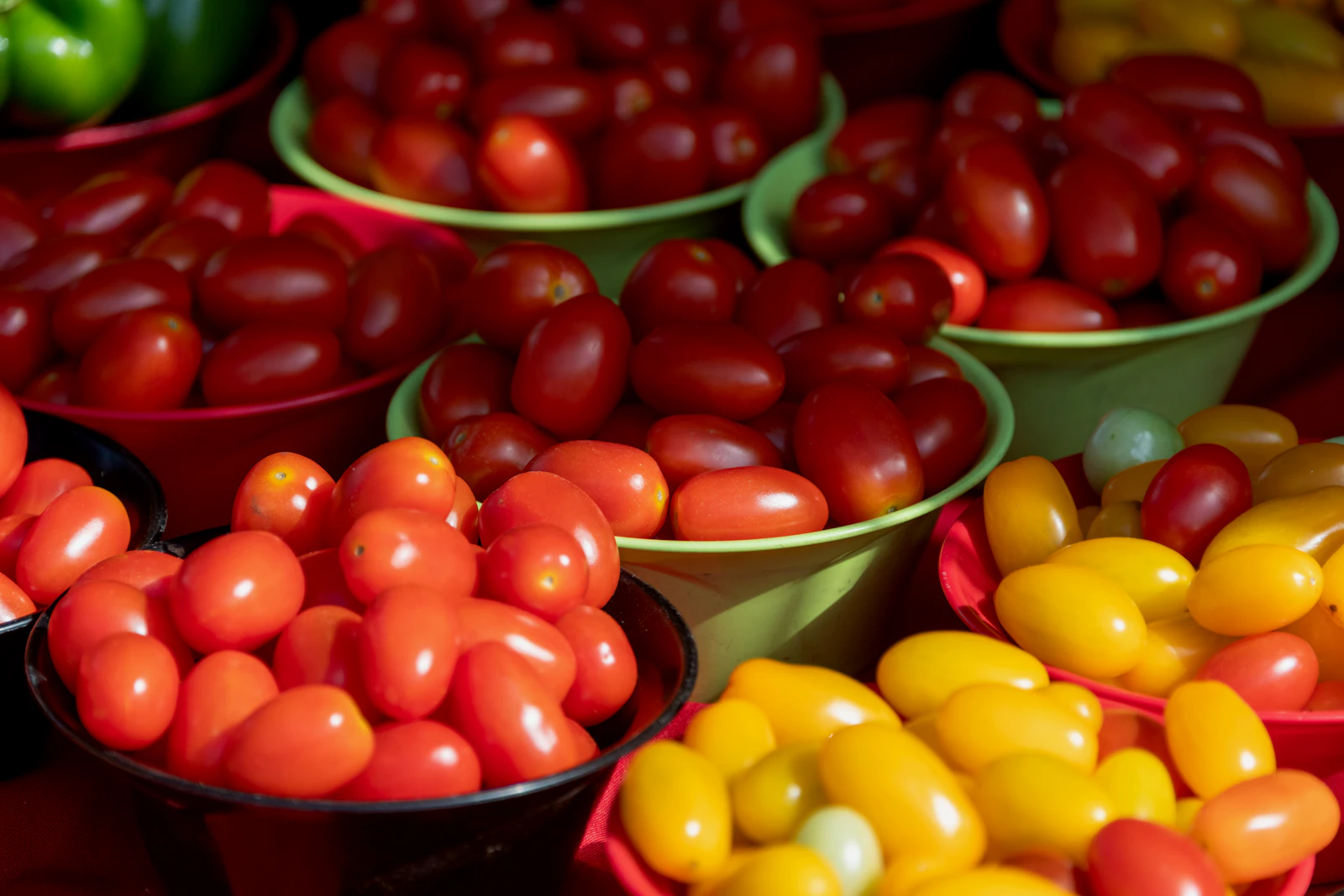 Planning a Market Morning: What to Bring and When to Arrive
