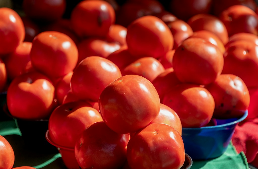 Fresh Tomatoes
