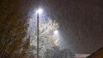 Snow is falling heavily under the illumination of streetlights, creating a soft and serene atmosphere. Trees on the left and center of the image are partially covered with snow, their branches highlighted against the night sky.