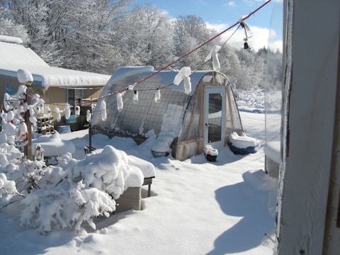 A snowy landscape with a greenhouse covered in snow, surrounded by snow-laden trees and a cloudy blue sky. Snow blankets the ground and all visible surfaces, including rooftops and branches. Icicles hang from a wire strung across the scene.