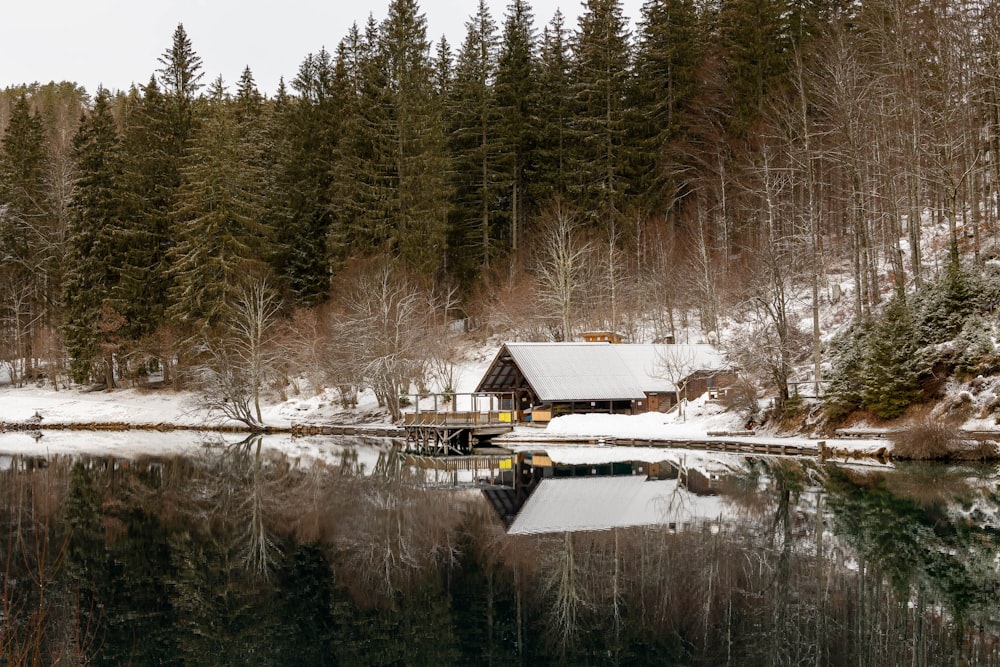 a cabin on the shore of a lake surrounded by trees