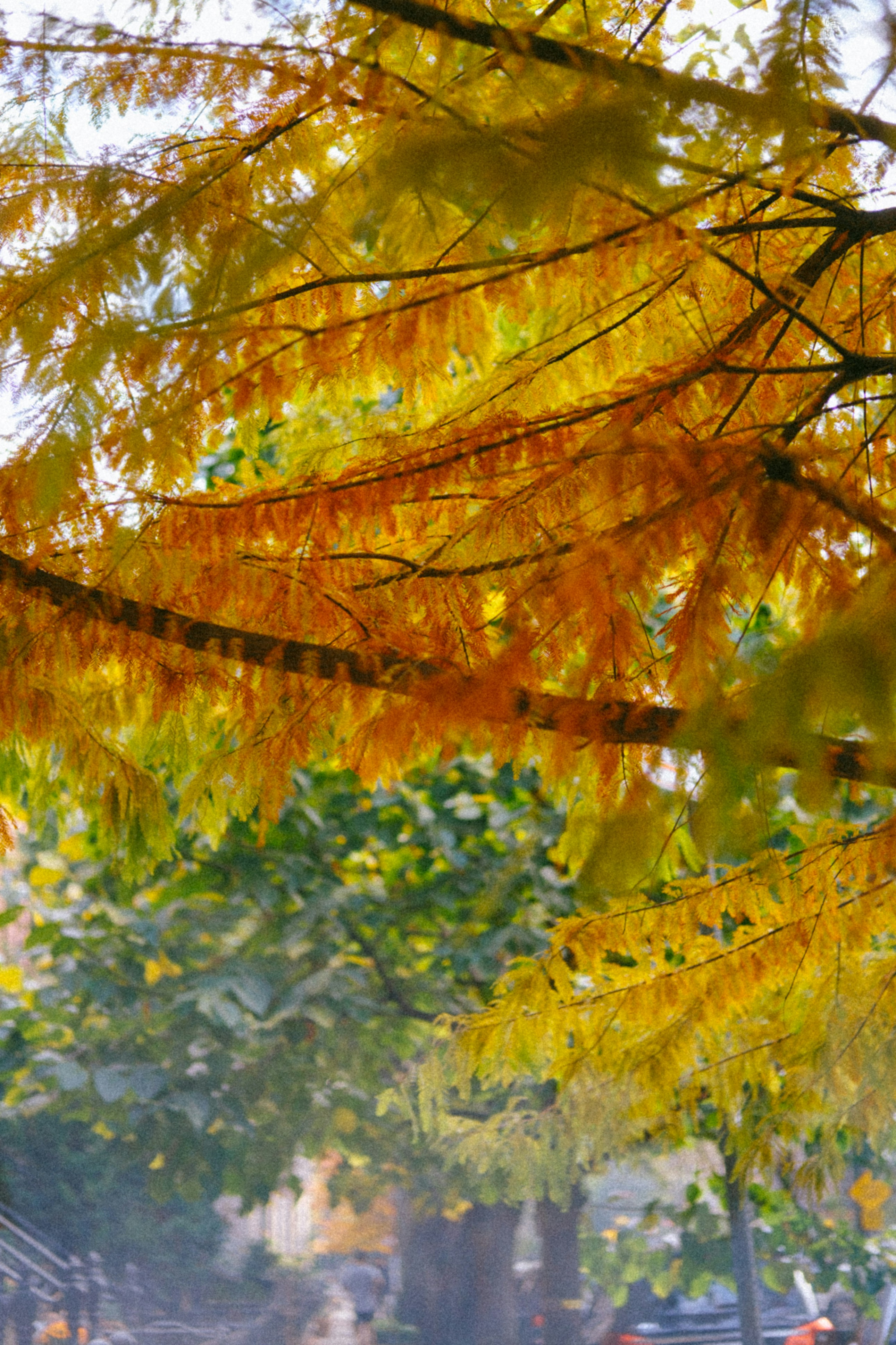 Photo by marsupialpudding