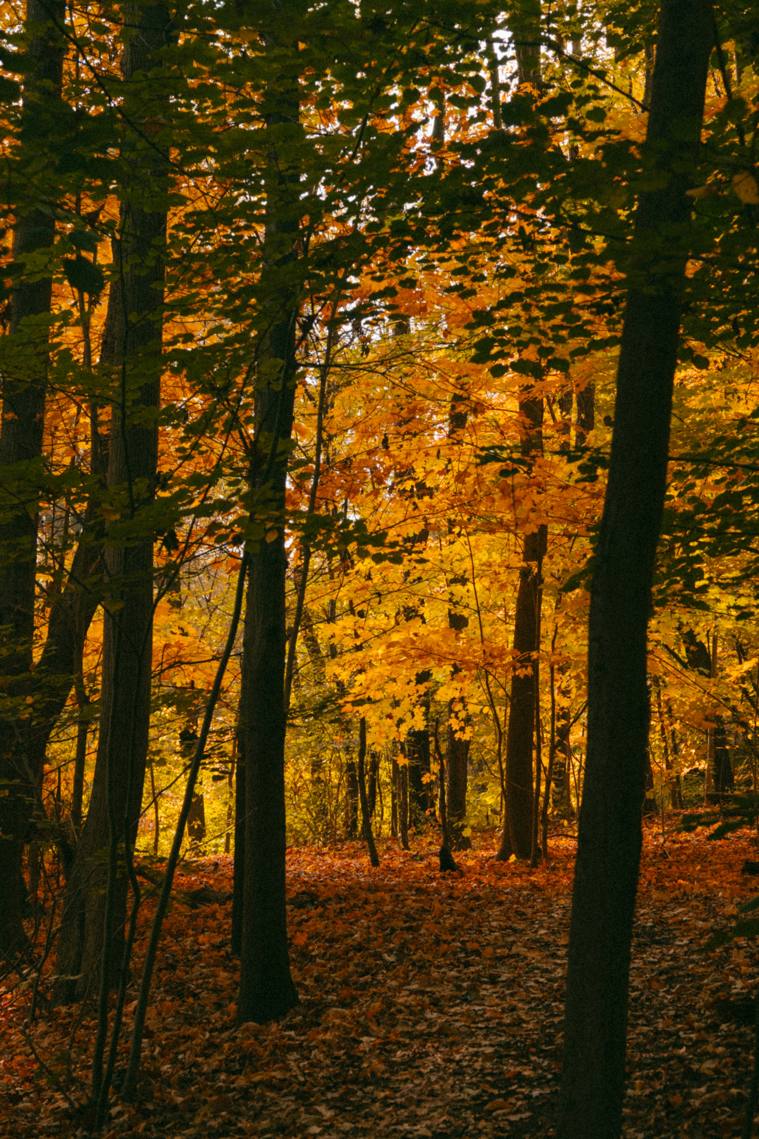 Photo by marsupialpudding