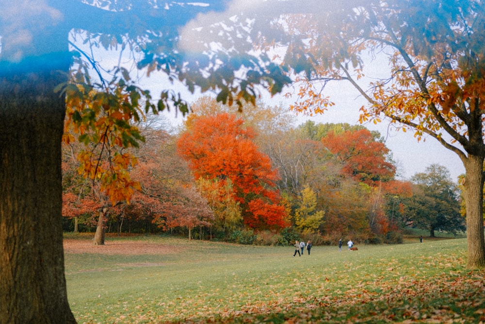 a group of people walking through a park in the fall