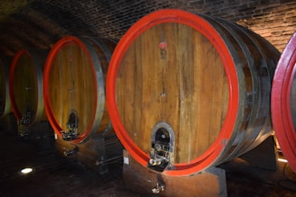 Large wooden barrels with red rims are lined up in a dimly lit wine cellar with a brick ceiling. Each barrel has a spigot at the bottom for dispensing liquid.