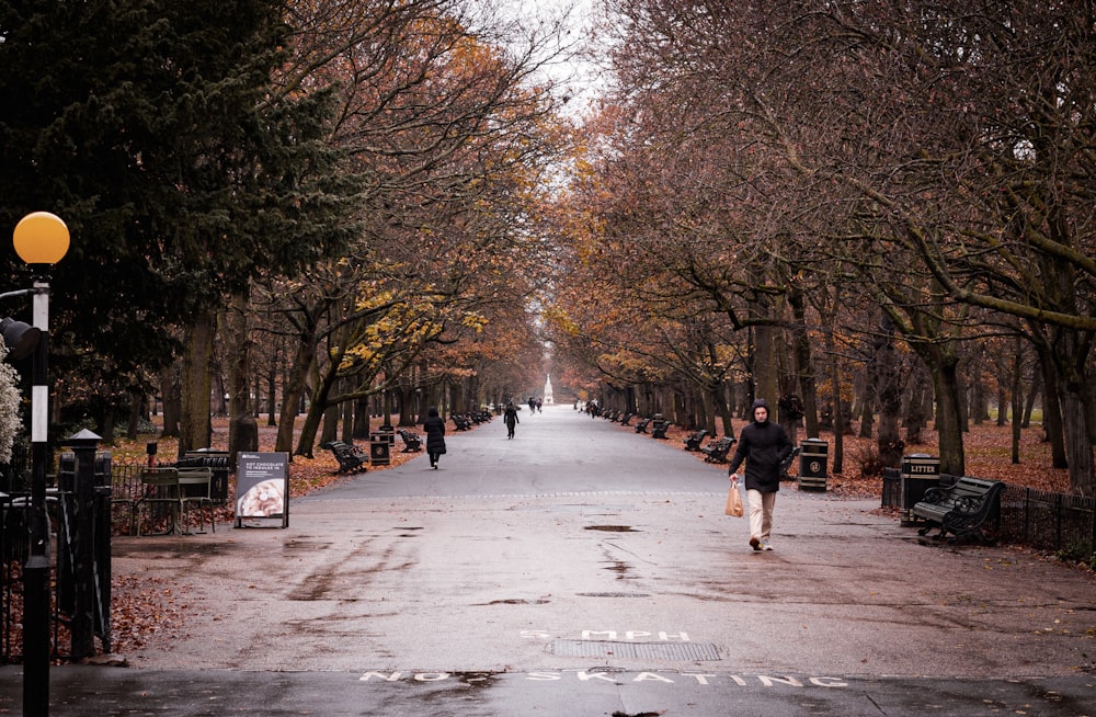 a man walking down a street in a park