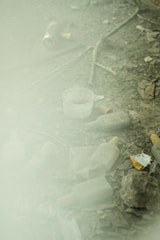 a pile of broken glass bottles on the ground
