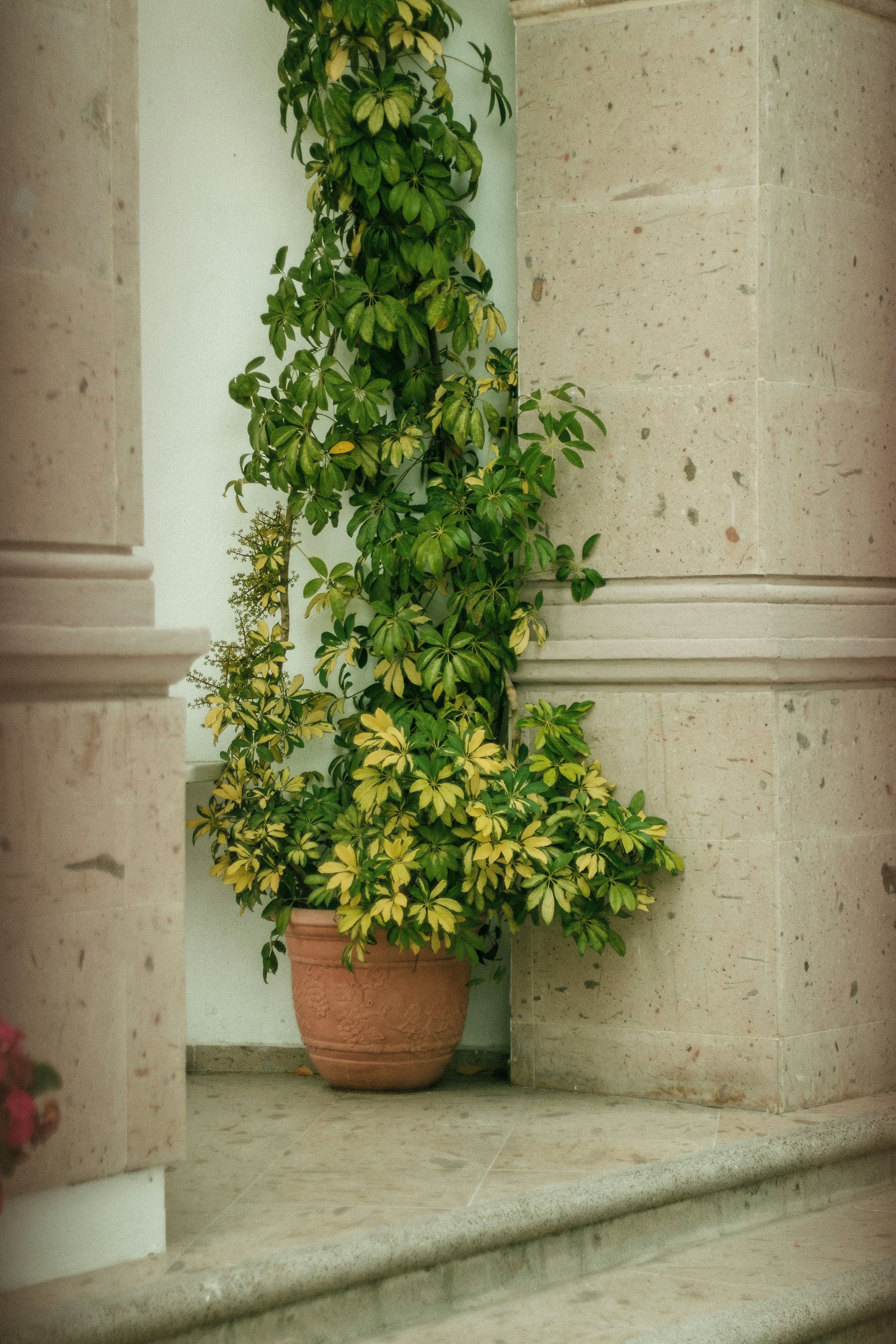 Photo by alex_quezada